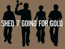 SHED SEVEN - GOING FOR GOLD NEW VINYL