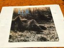 Vintage R.E.M. ?Murmur Vinyl  LP  I.R.S. Records ?– SP 70014 REM Stipe