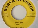 SUNNY RIDELL - SOUL 100 Parts 1 & 2 - DARVA RECORDS 72473.   CONDITION EXCELLENT