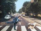 Paul McCartney 