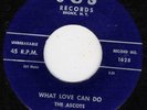ASCOTS J & S 1628 WHAT LOVE CAN DO   VG ++    45 RPM