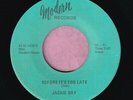 Jackie Day 