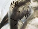 Delphic - No Doubt 7” Picture Disc Vinyl Signed
