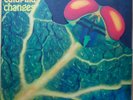 Catapilla – Changes vinyl LP on Akarma AK 132