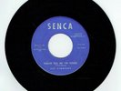 PLEASE TELL ME I'M YOURS / AND THE ANGELS SING / FAY SIMMONS 45T VINYLE SENCA