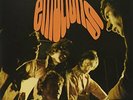 Pretty Things - Emotions - LP Vinyl - New
