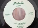 THE ILLUSIONS CITY OF PEOPLE RARE 1966 US MICHELLE LABEL GARAGE PUNK 45