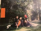 BIG THIEF UFOF LP COLOURED VINYL 4AD
