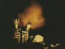 PEARL JAM - Riot Act (remastered) - Vinyl (gatefold 2xLP + booklet) new