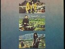 GROUNDHOGS 'Split' Original 1971 1st press LP