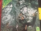 Green - S/T - ATCO SD 33-282 - RARE PSYCH ROCK LP