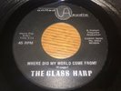The Glass Harp Where Did My World Come From/She Told Me Rare Ohio Psych 45 NM