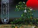 PAPER MONKEYS - OZRIC TENTACLES
