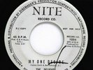 RARE NITE 45 RPM,  DOOWOP VOCAL GROUP, THE DELIGHTS, MY ONE DESIRE/ PLEASE TAKE
