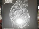 Insect Warfare - Entomological Siege 2004/2009 3x LP & CD BOX SET grindcore punk