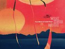 Tom Misch & Yussef Dayes - What Kinda Music Vinyl LP Deluxe Edition New 2020