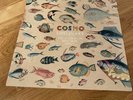 COSMO SHELDRAKE 