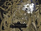 Paradise Lost - Tragic Idol