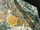 THE STONE ROSES by The Stones Roses. Debut Album Vinyl LP.  Used Near Mint Cond.