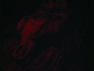 Grave Upheaval - Untitled First Album ++ LP ++ NEU