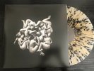 Celeste Infideles Vinyl