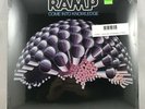RAMP - Come Into Knowledge LP NEW