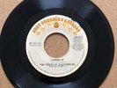 Northern Soul - Voices Of East Harlem - Cashing In