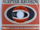 Northern Soul 45 BARBARA RUSKIN You Can't Blame A Girl SCEPTER VG+ promo HEAR