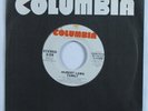Modern Soul Funk 45 HUBERT LAWS Family COLUMBIA VG+ promo HEAR