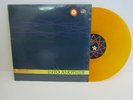 INTO ANOTHER S/T LP GOLD VINYL revelation records UNDERDOG PUNK HC UNPLAYED