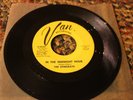 THE STINGRAYS, VAN Records, 1967, V-04567, Angleton TX Garage Rock, Excellent