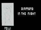 FELLI - Diamond In The Night - Vinyl (12