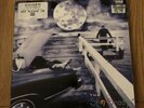 The Slim Shady LP by Eminem 1999 Vinyl Hip Hop Records 2 Discs