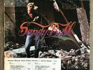 Sandy Bull – Demolition Derby rock LP 1972 RARE WHITE LABEL PROMO Vanguard vinyl