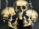 SKULL SNAPS LP VINYL