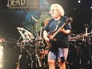 The Grateful Dead Mountain View 1994 Limited Edition Vinyl Double Lp Volume One