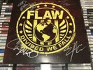Flaw- Divided We Fall