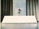 Wire-Chairs Missing (UK IMPORT) VINYL NEW