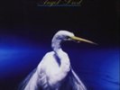 Faith No More-Angel Dust Vinyl / 12