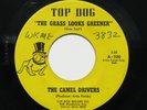 CAMEL DRIVERS Grass Looks Greener 7” 45 1967 Top Dog, Michigan garage psych fuzz