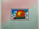 THE ALLMAN BROTHERS BAND Album EAT A PEACH 2Lp Record 180 GRAM 180g Vinyl MINT