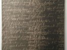 CHEVAL SOMBRE - Mad Love LP - Clear Vinyl Spacemen 3 Sonic Boom Galaxie 500 MGMT