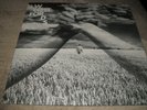 Pink Floyd Lost For Words 7