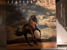 Springsteen Bruce Western Stars Double Blue  Vinyl LP Coloured BRUCE SPRINGSTEEN