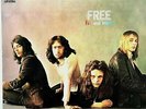FREE 