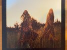 First Aid Kit - The Lion's Roar (12