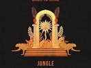 Jungle - Back To Mine Vinyl LP Indies Clear Edition New 2019