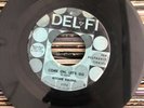 Come On Let's Go by Ritchie Valens (45rpm, 1958, DEL FI 4106, RARE First Press )