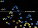 Nada Surf - Proximity Effect - LP Vinyl - New
