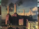PINK FLOYD Animals 1977 Original VINYL LP RECORD